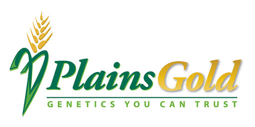 Plains Gold